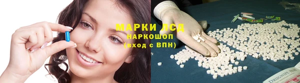 гашик Богородицк
