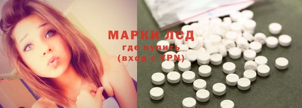 спайс Богданович