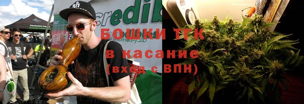 гашик Богородицк