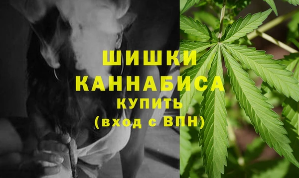 спайс Богданович